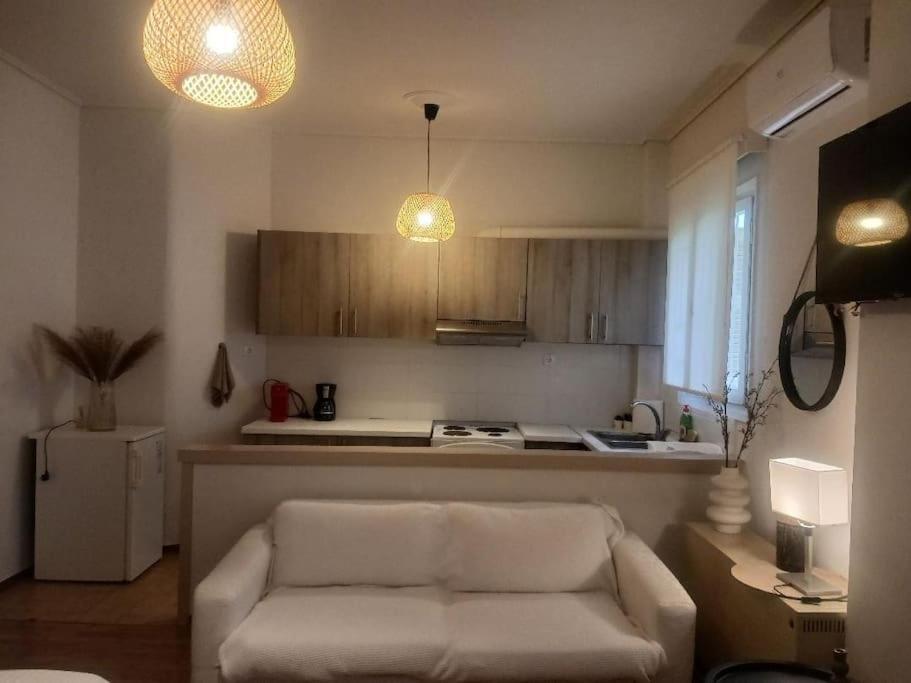 Beautiful Downtown Studio! Ioannina Bagian luar foto